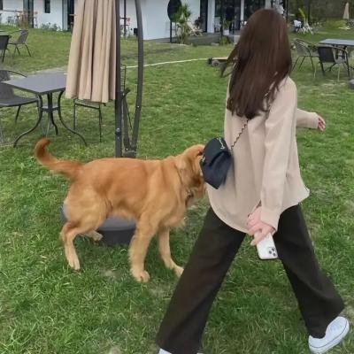 强梁霸道
